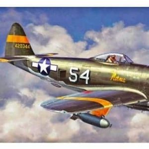 Hasegawa 00138 P47D Thunderbolt (U.S Army Air Force Fighter) Kit Montaggio 1/72