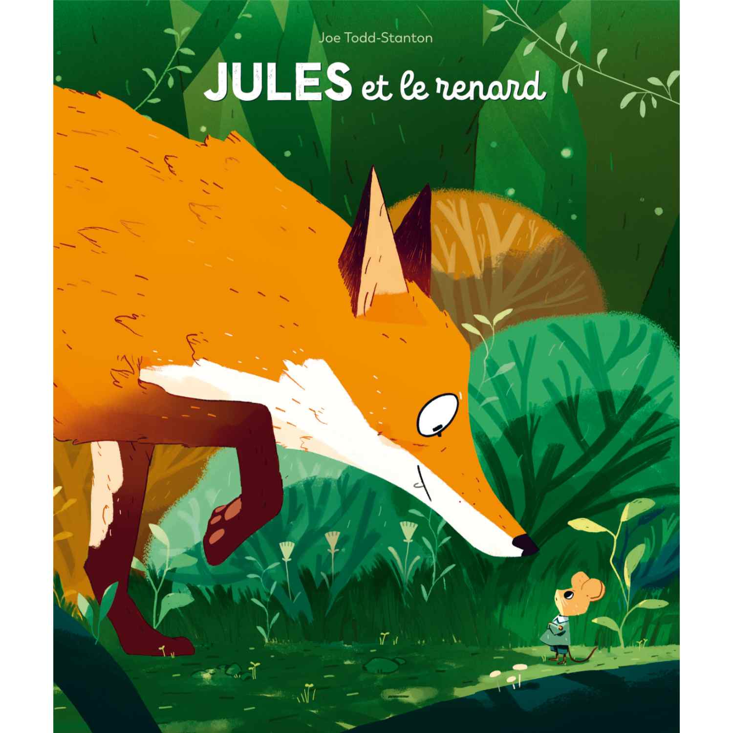 Libro Jules et le renard de Todd Stanton et Isabelle Reinharez - FRA