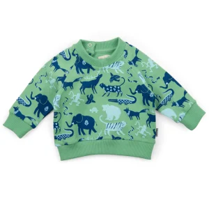 Felpa in cotone garzato con stampa animali, Marius