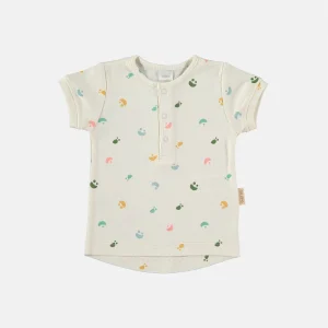 Maglietta maniche corte pima cotone, Jelly